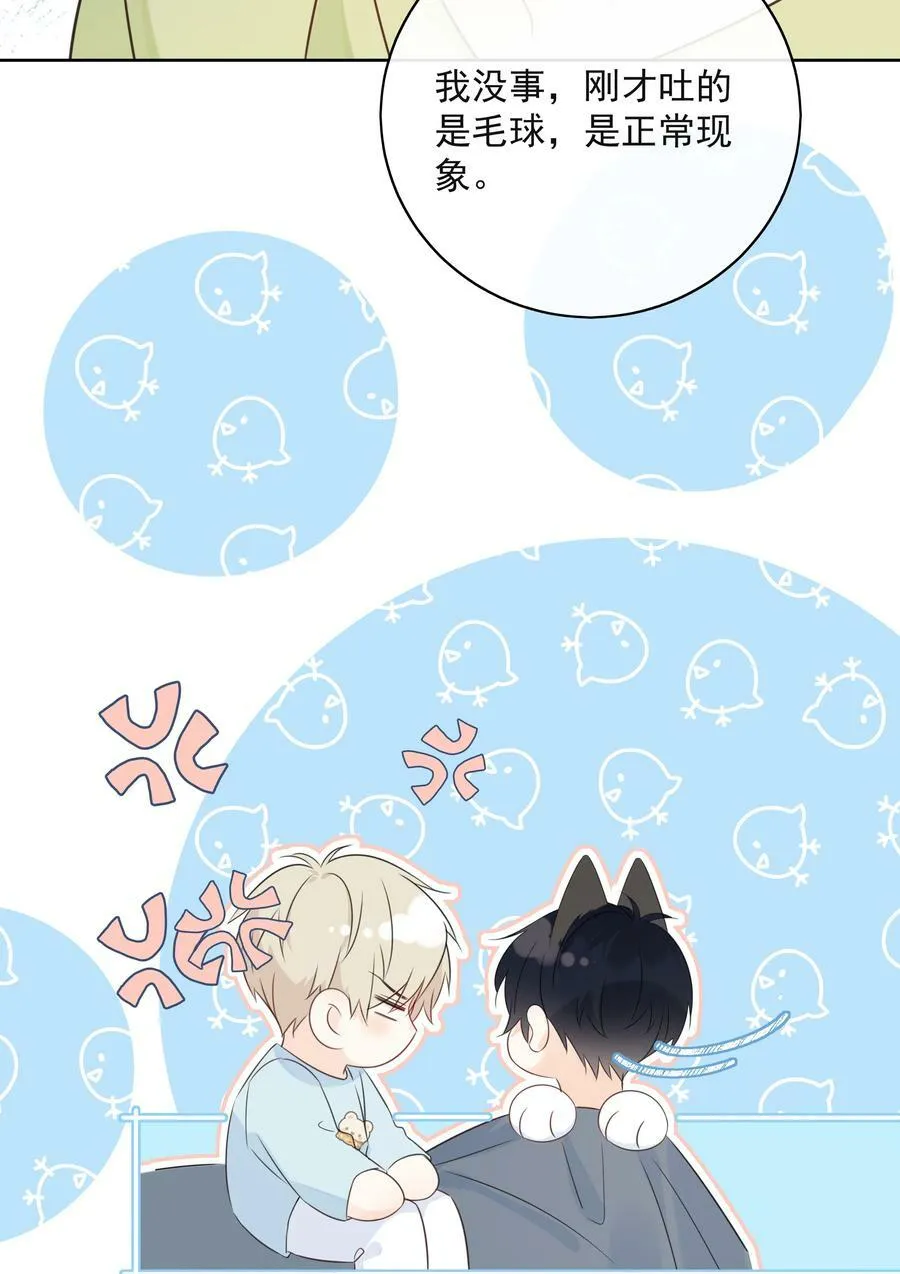 番外1 养猫轶事 第17页