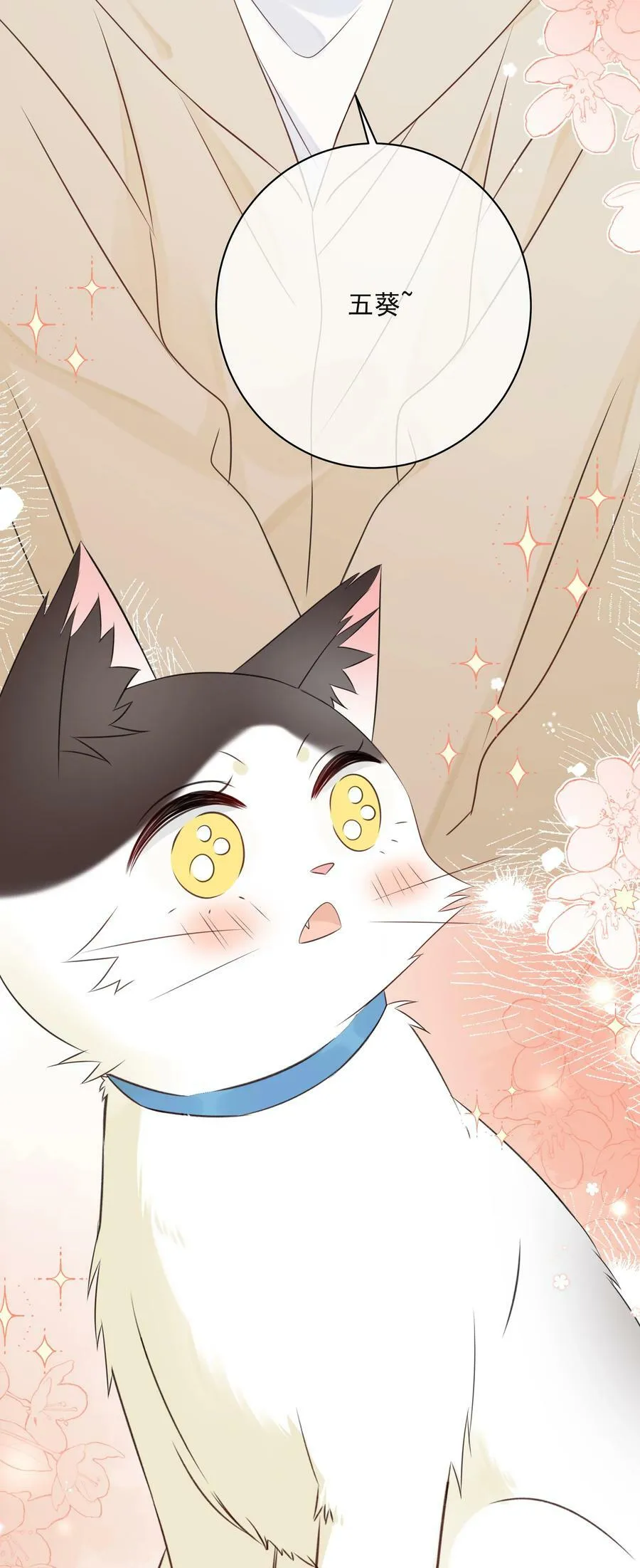 番外1 养猫轶事 第47页