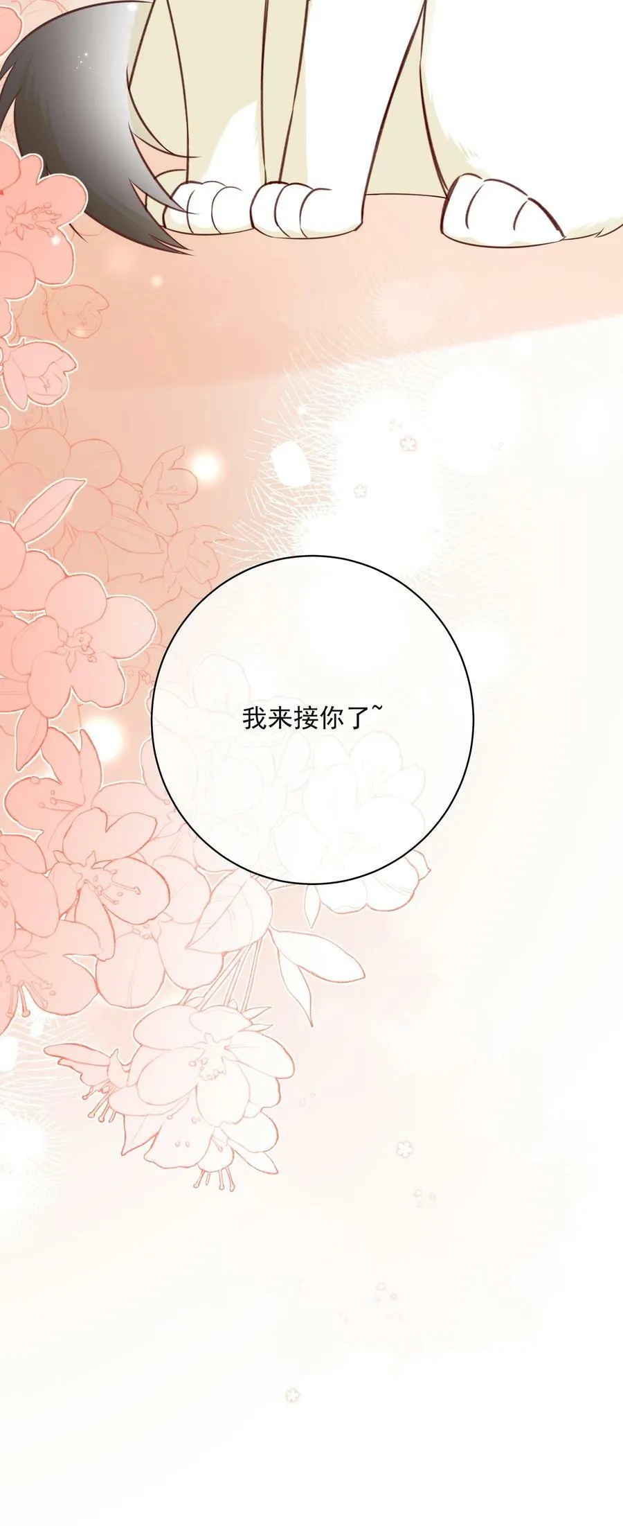 番外1 养猫轶事 第48页