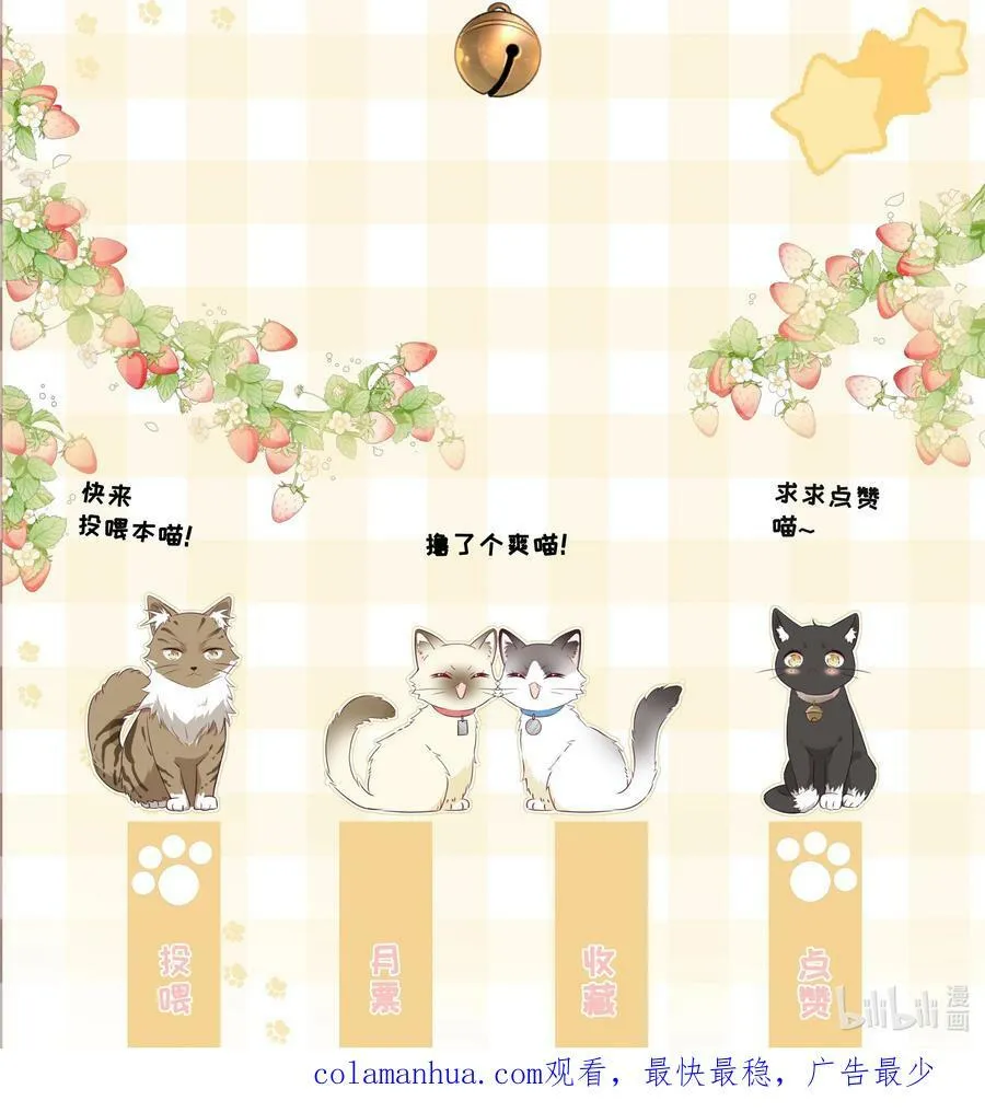 番外1 养猫轶事 第54页