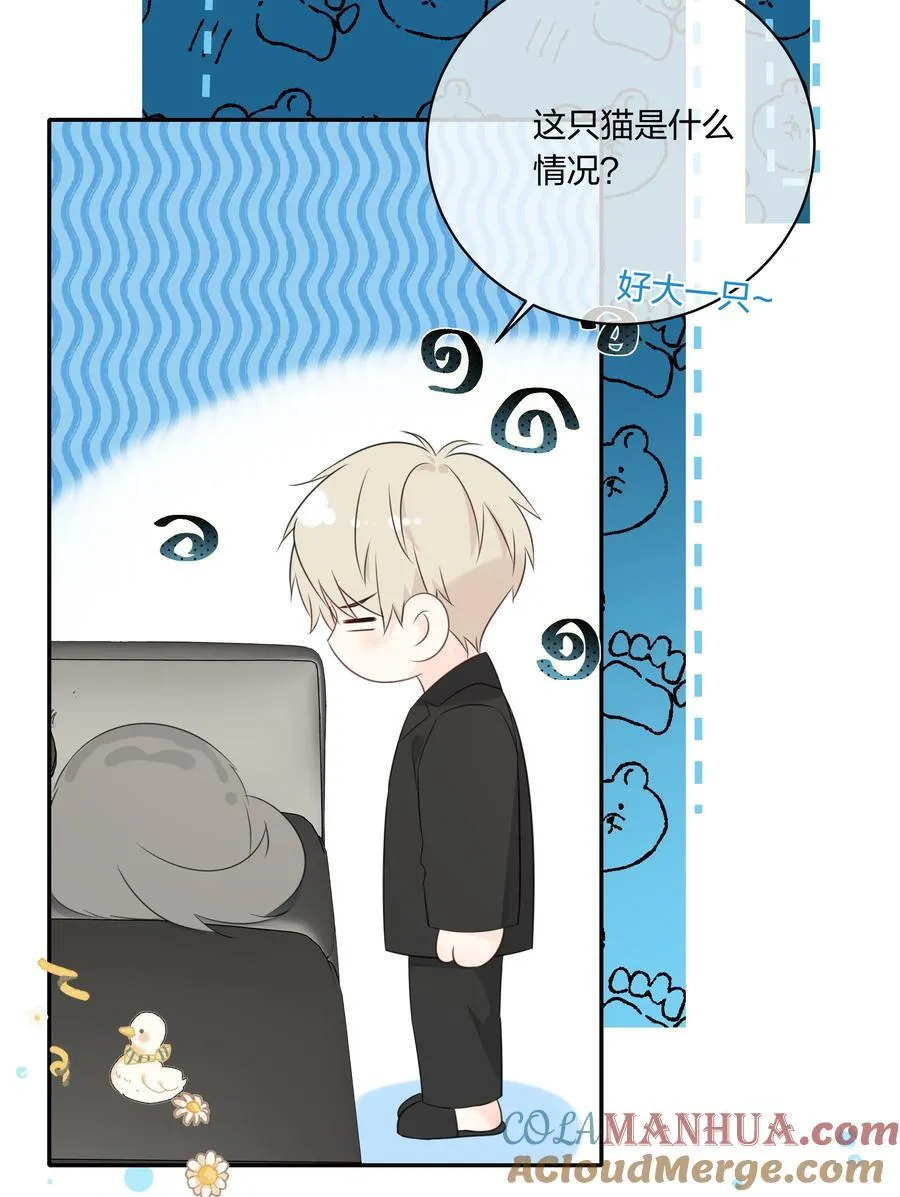 番外07 你要蝴蝶吗？ 第7页