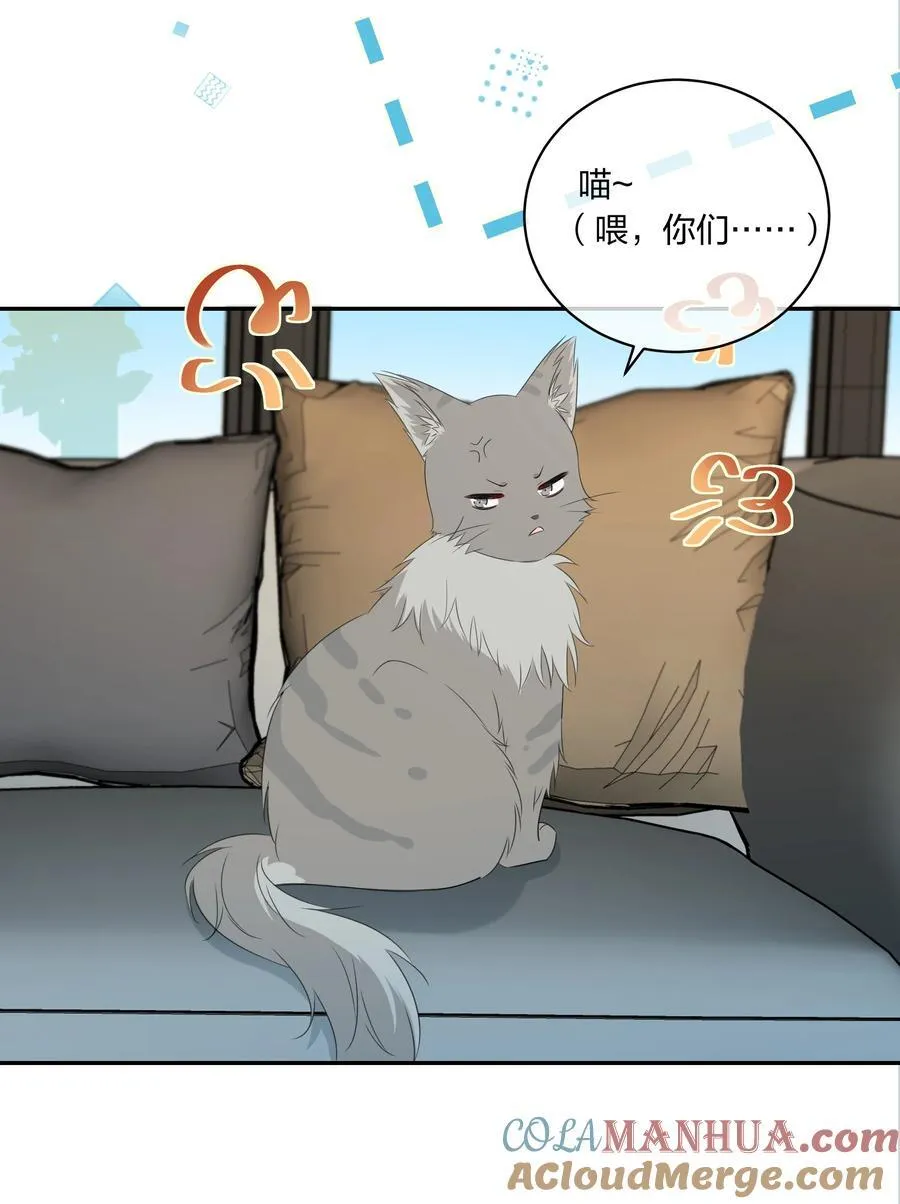 番外07 你要蝴蝶吗？ 第13页