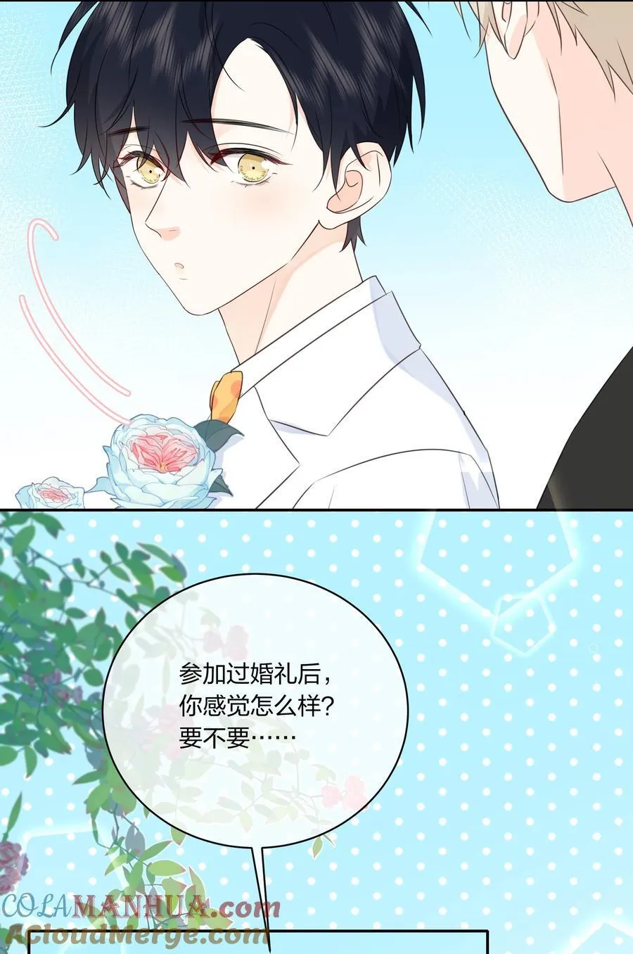 番外10 最终篇，只有两个人的婚礼 第11页