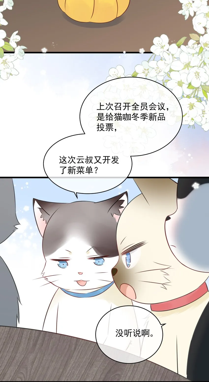 027 猫咪的圆桌会议 第5页