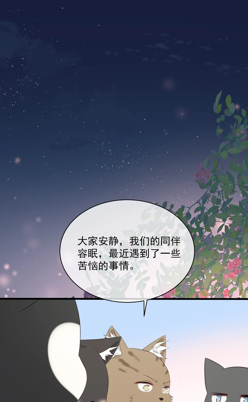 027 猫咪的圆桌会议 第7页
