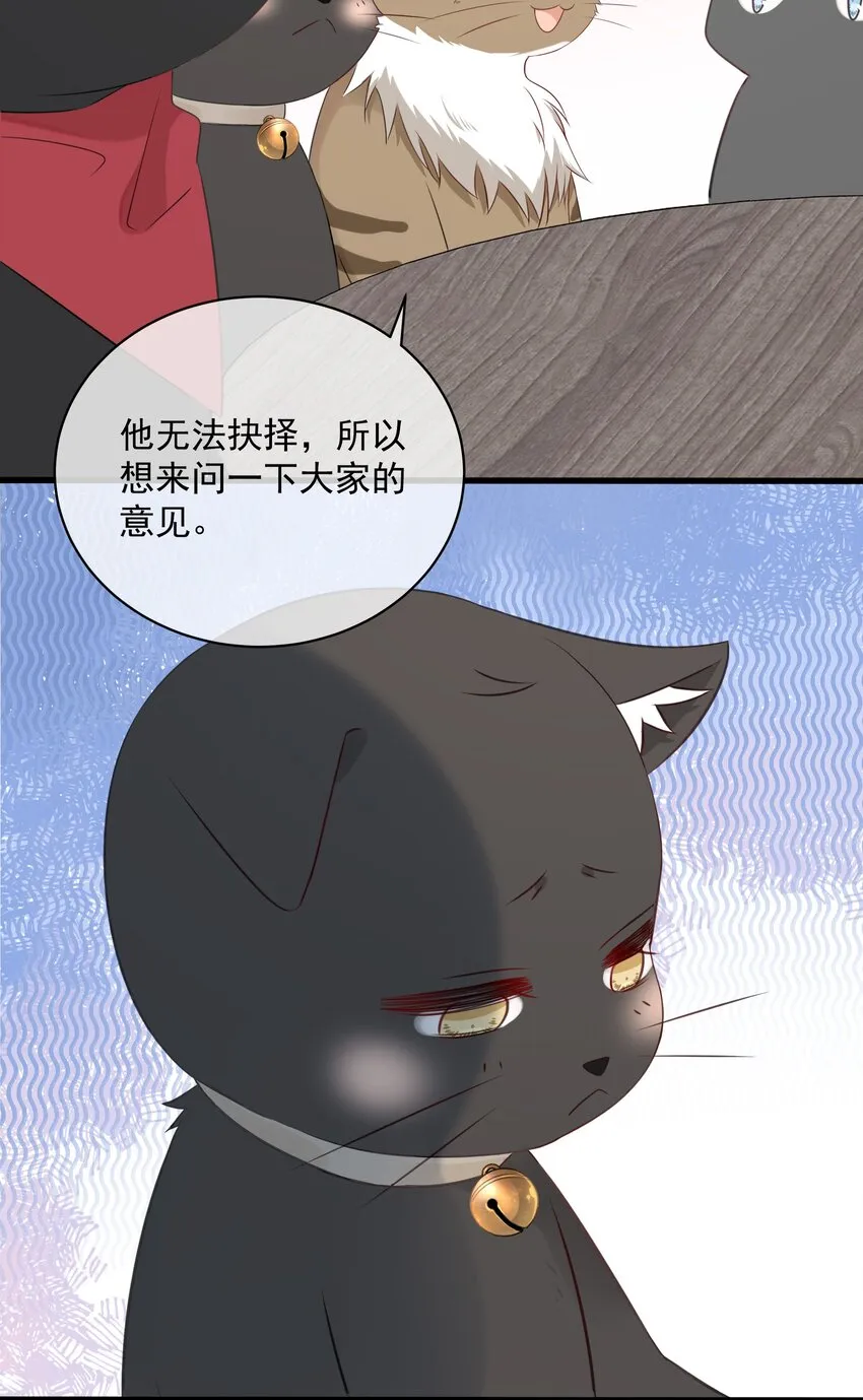 027 猫咪的圆桌会议 第8页