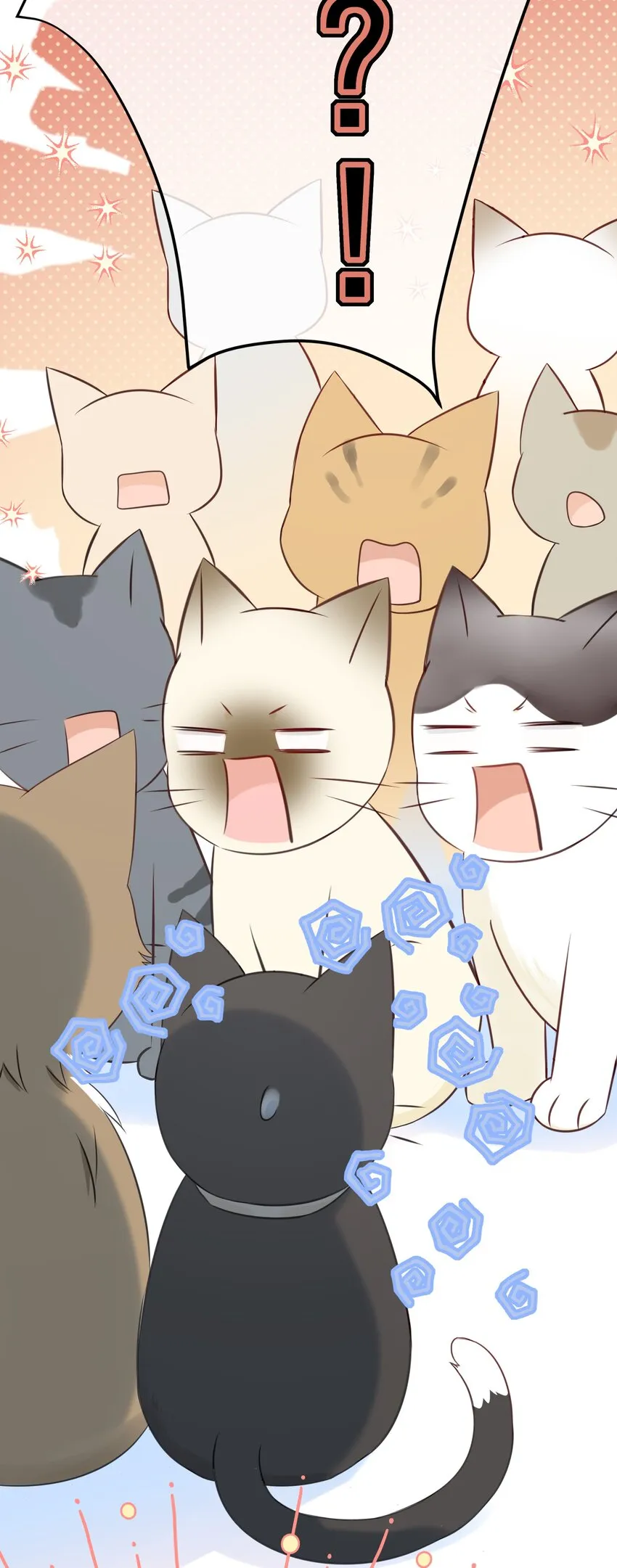 027 猫咪的圆桌会议 第10页
