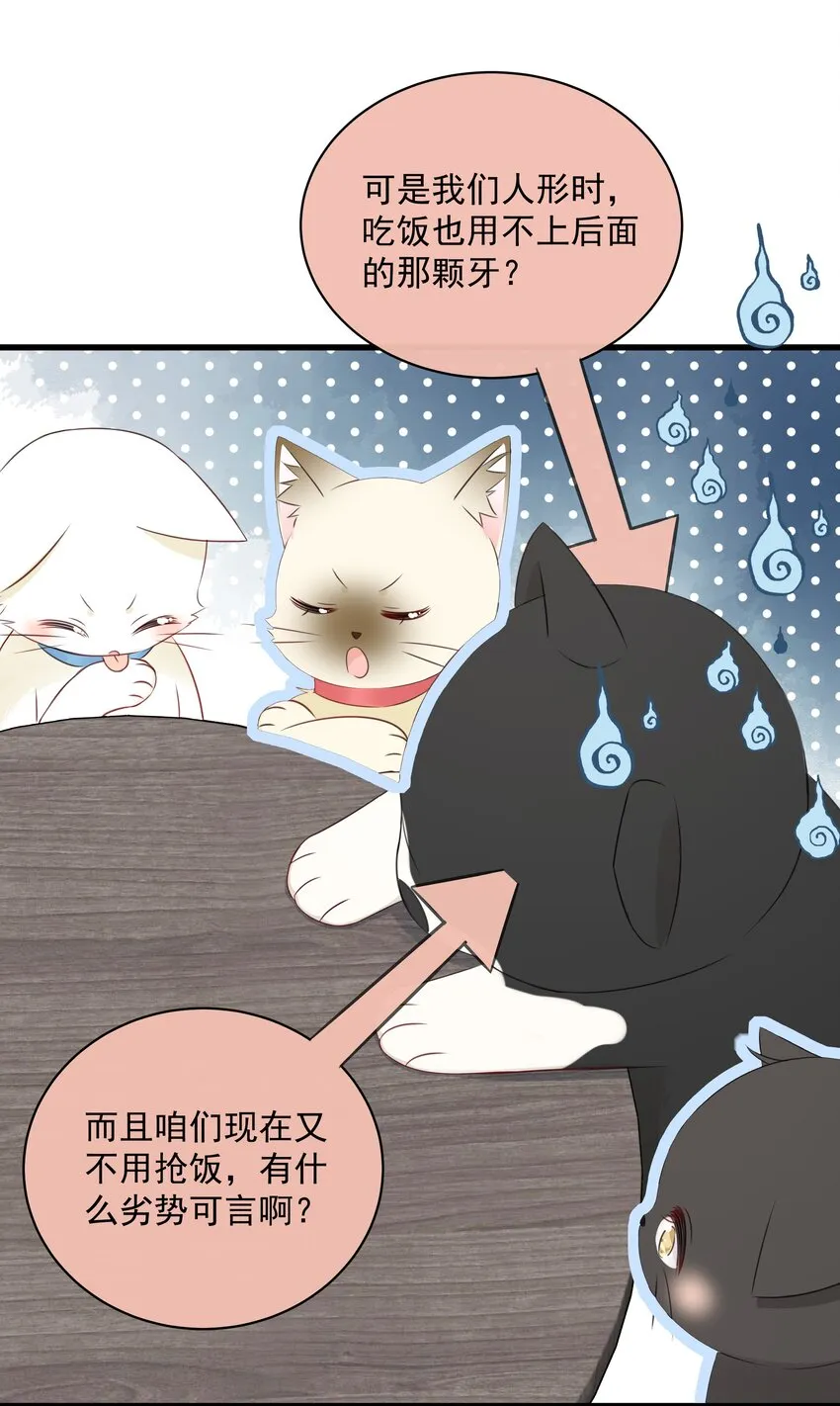 027 猫咪的圆桌会议 第12页