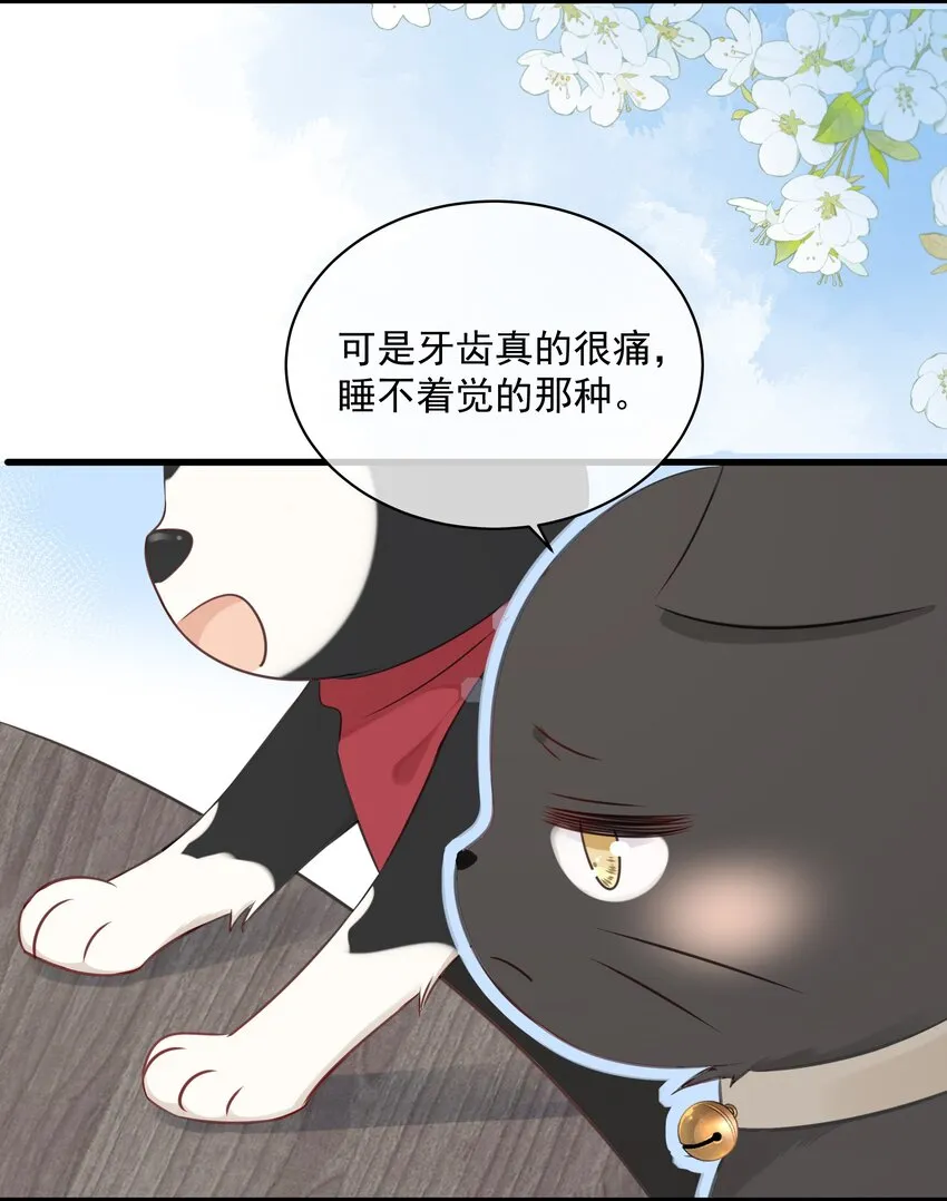 027 猫咪的圆桌会议 第13页