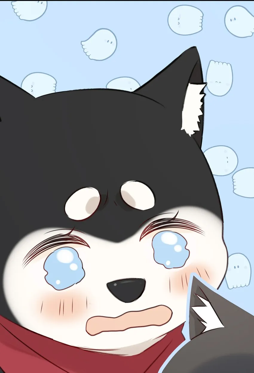027 猫咪的圆桌会议 第14页
