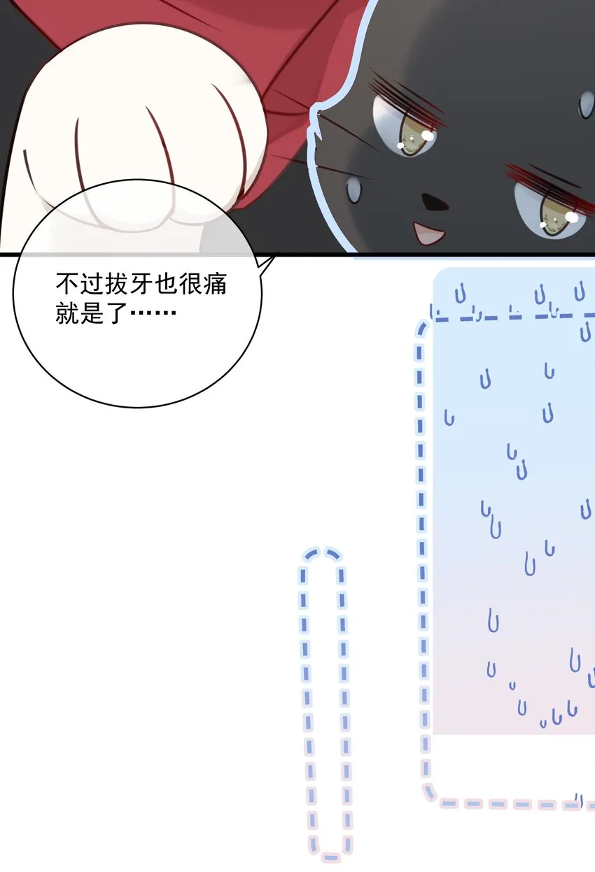 027 猫咪的圆桌会议 第15页
