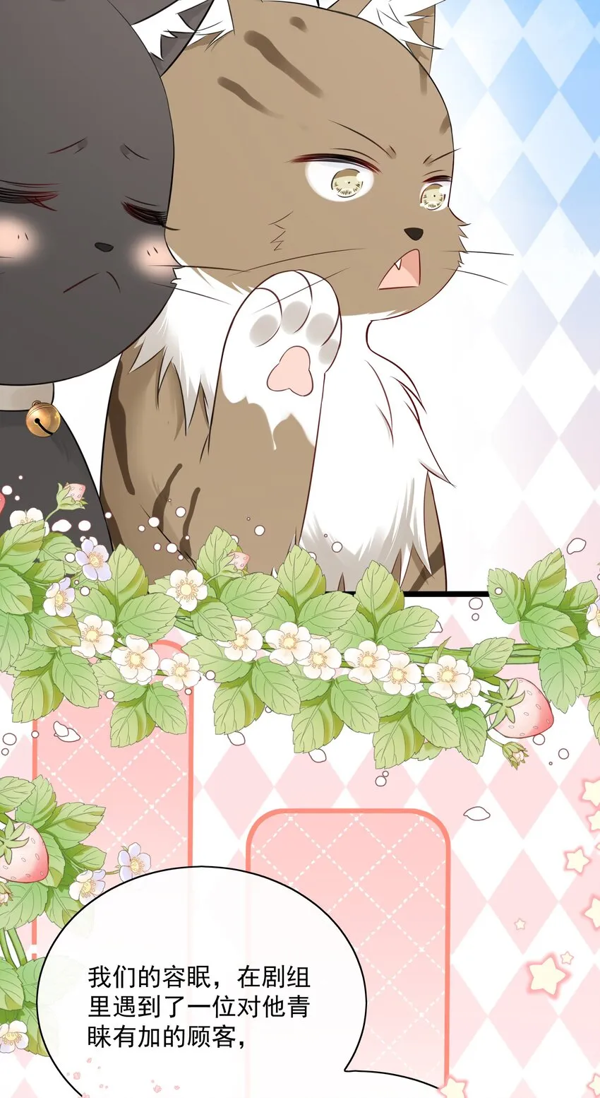 027 猫咪的圆桌会议 第17页
