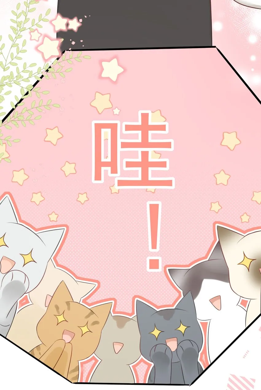 027 猫咪的圆桌会议 第19页