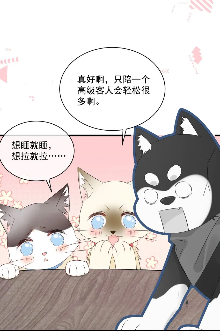 027 猫咪的圆桌会议 第20页