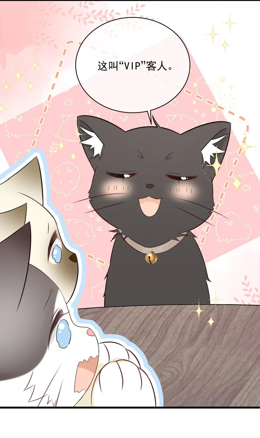 027 猫咪的圆桌会议 第21页