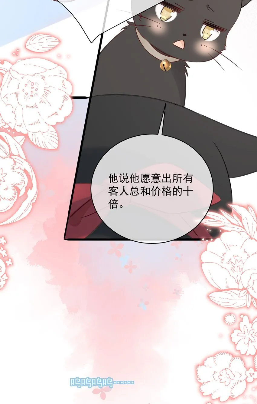 027 猫咪的圆桌会议 第25页