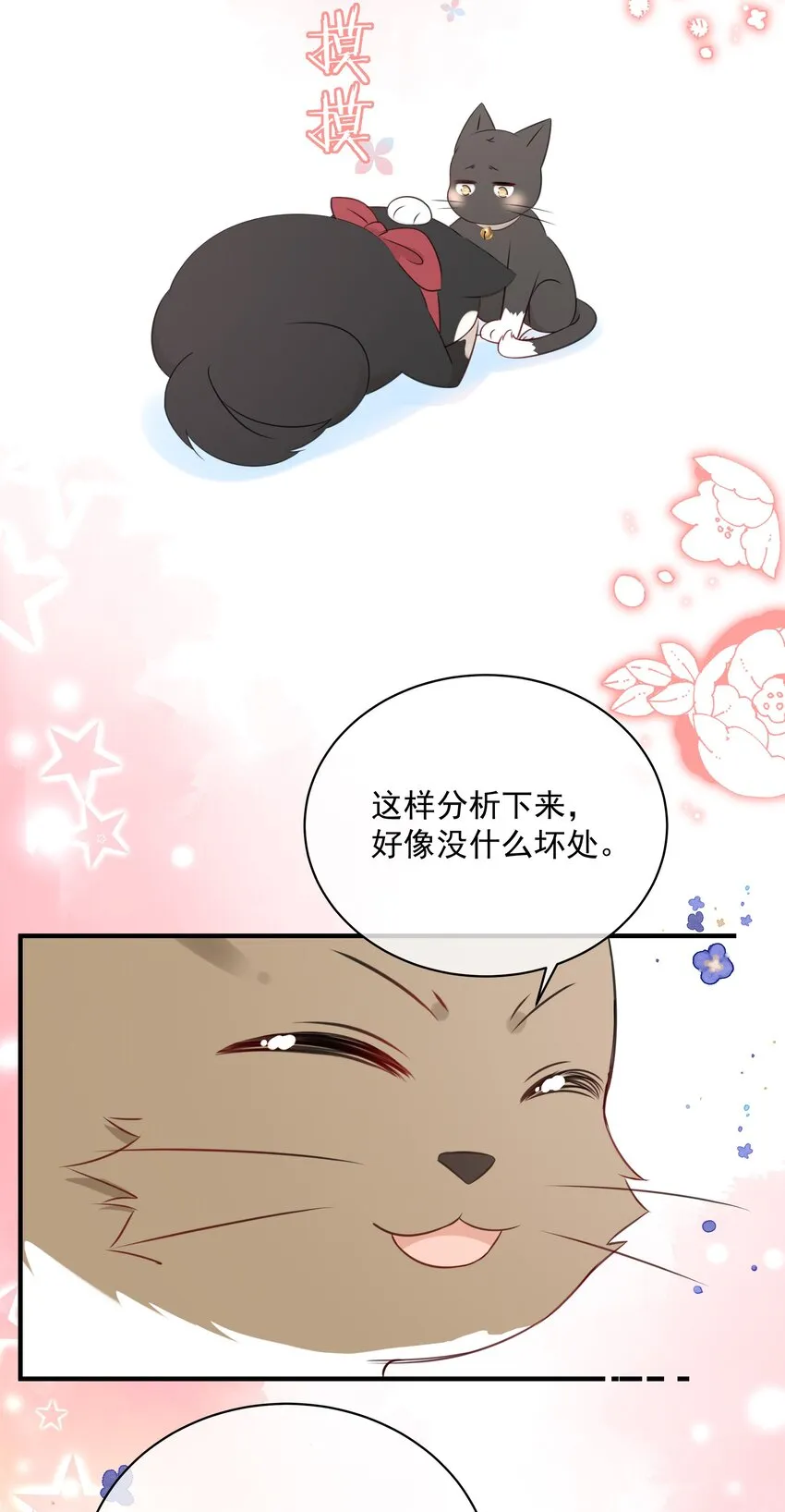 027 猫咪的圆桌会议 第26页