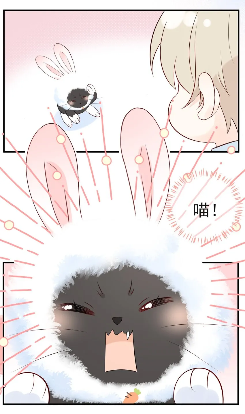 027 猫咪的圆桌会议 第43页