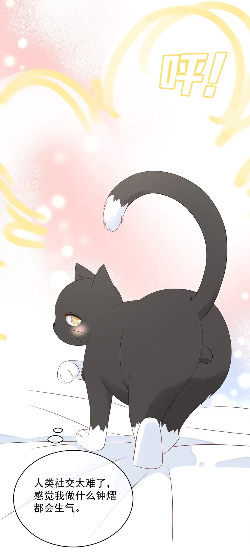 021 发现小黑猫 第7页