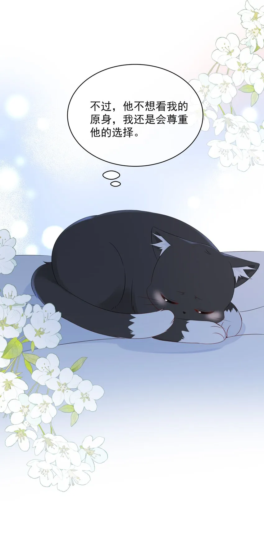 021 发现小黑猫 第8页