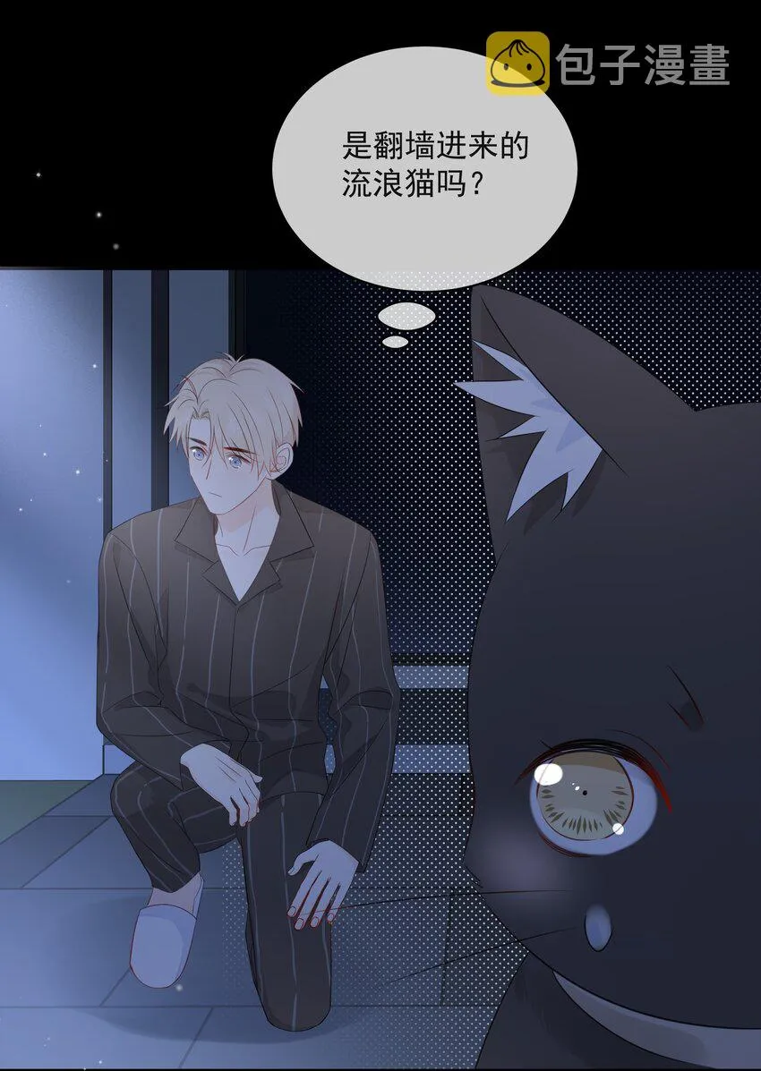 021 发现小黑猫 第19页