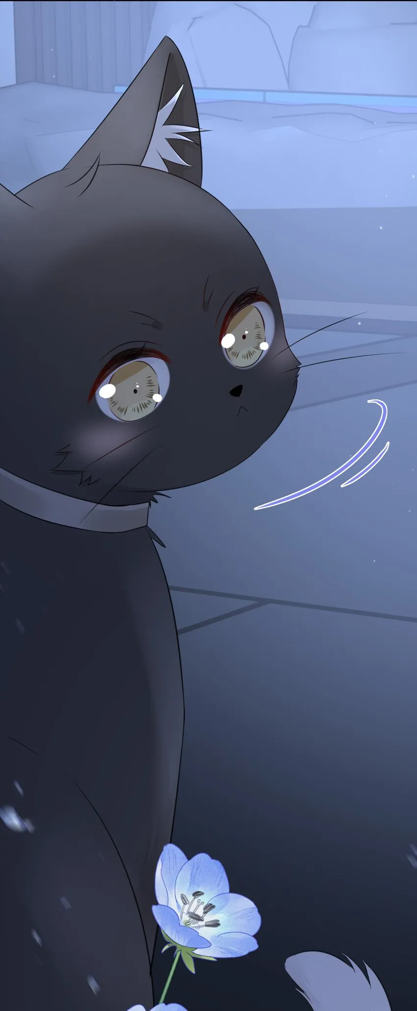021 发现小黑猫 第20页
