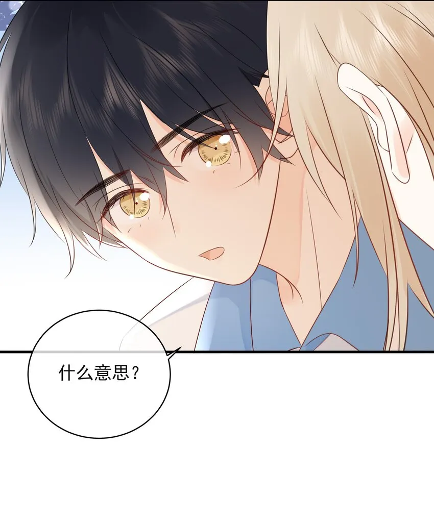 021 发现小黑猫 第40页