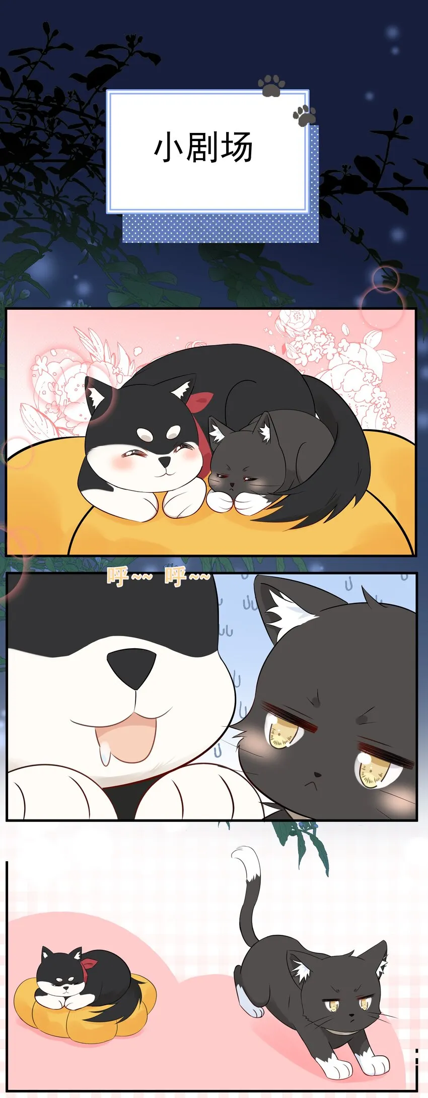 021 发现小黑猫 第47页