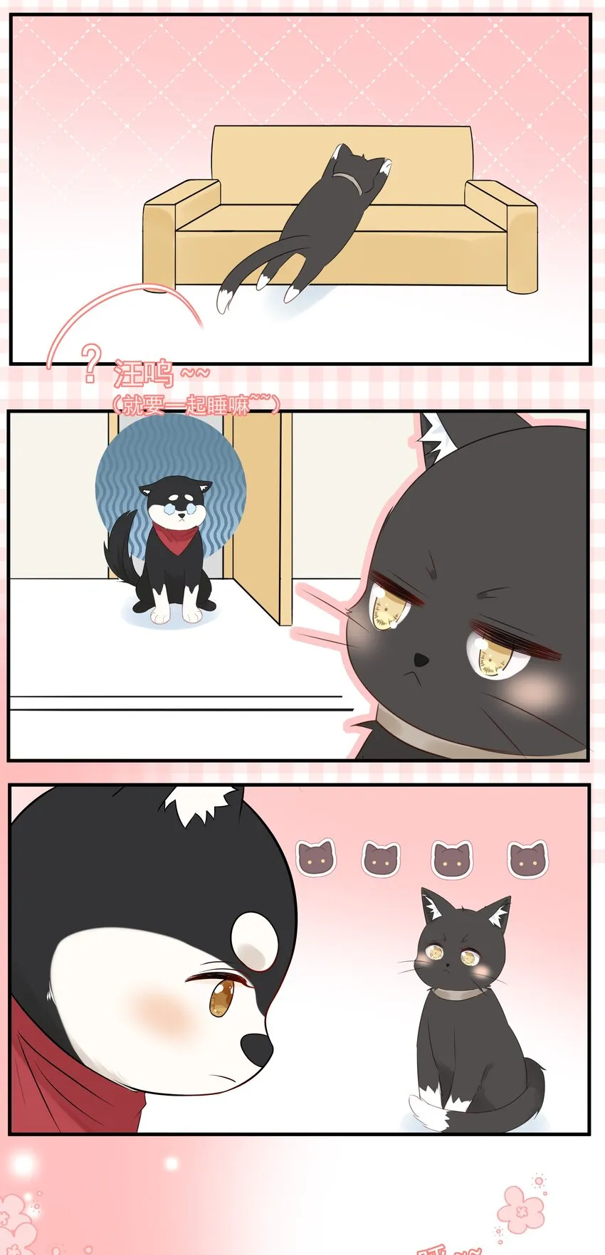 021 发现小黑猫 第48页