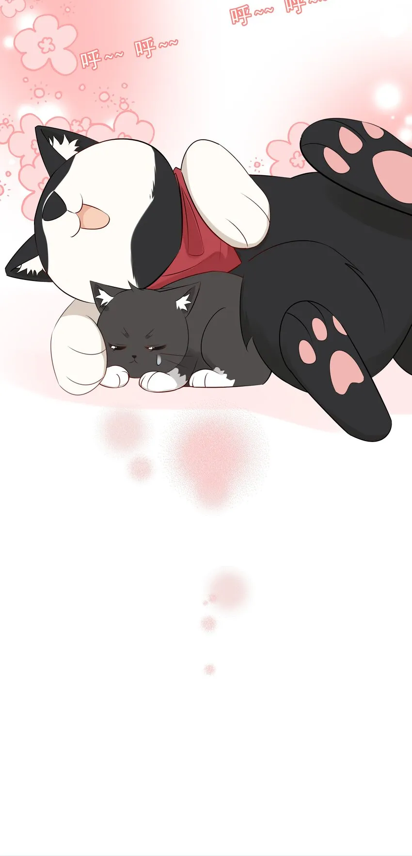 021 发现小黑猫 第49页