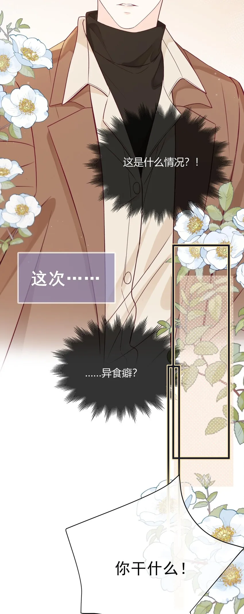 预告 一起来吸猫 第6页