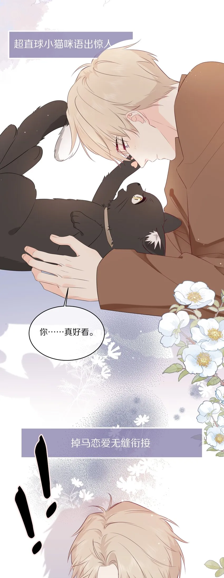 预告 一起来吸猫 第18页