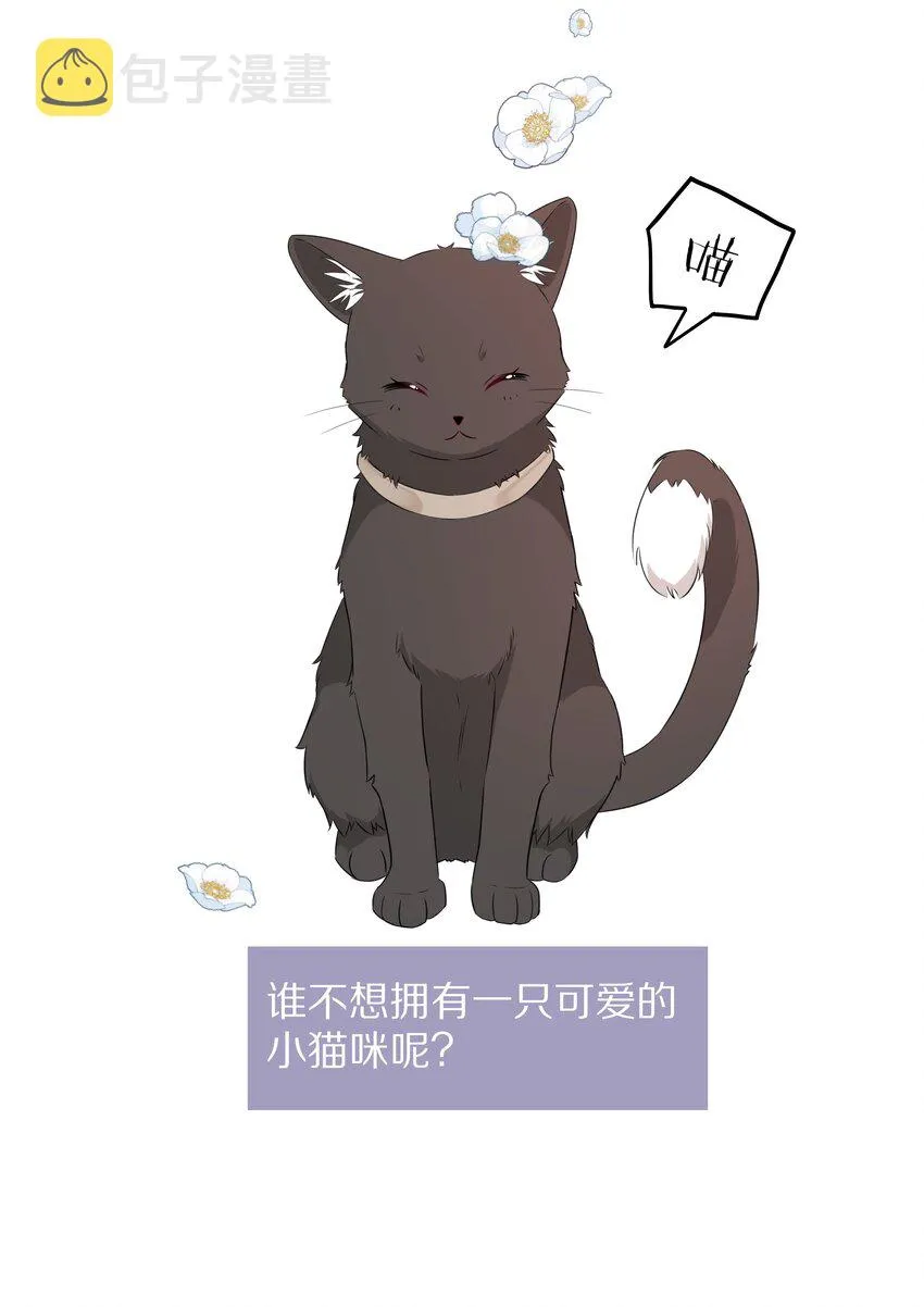 预告 一起来吸猫 第20页