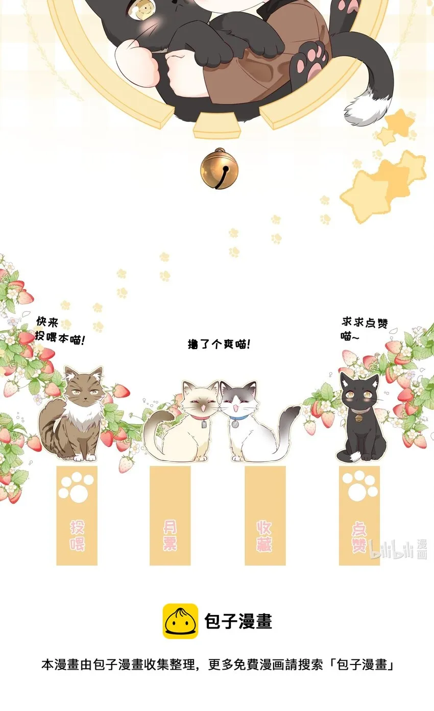 预告 一起来吸猫 第25页
