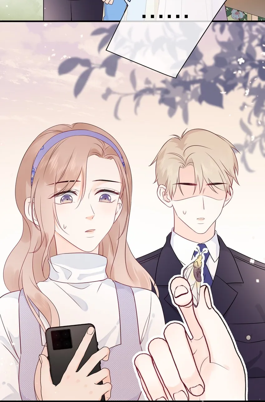 006 你要蝴蝶吗？ 第15页