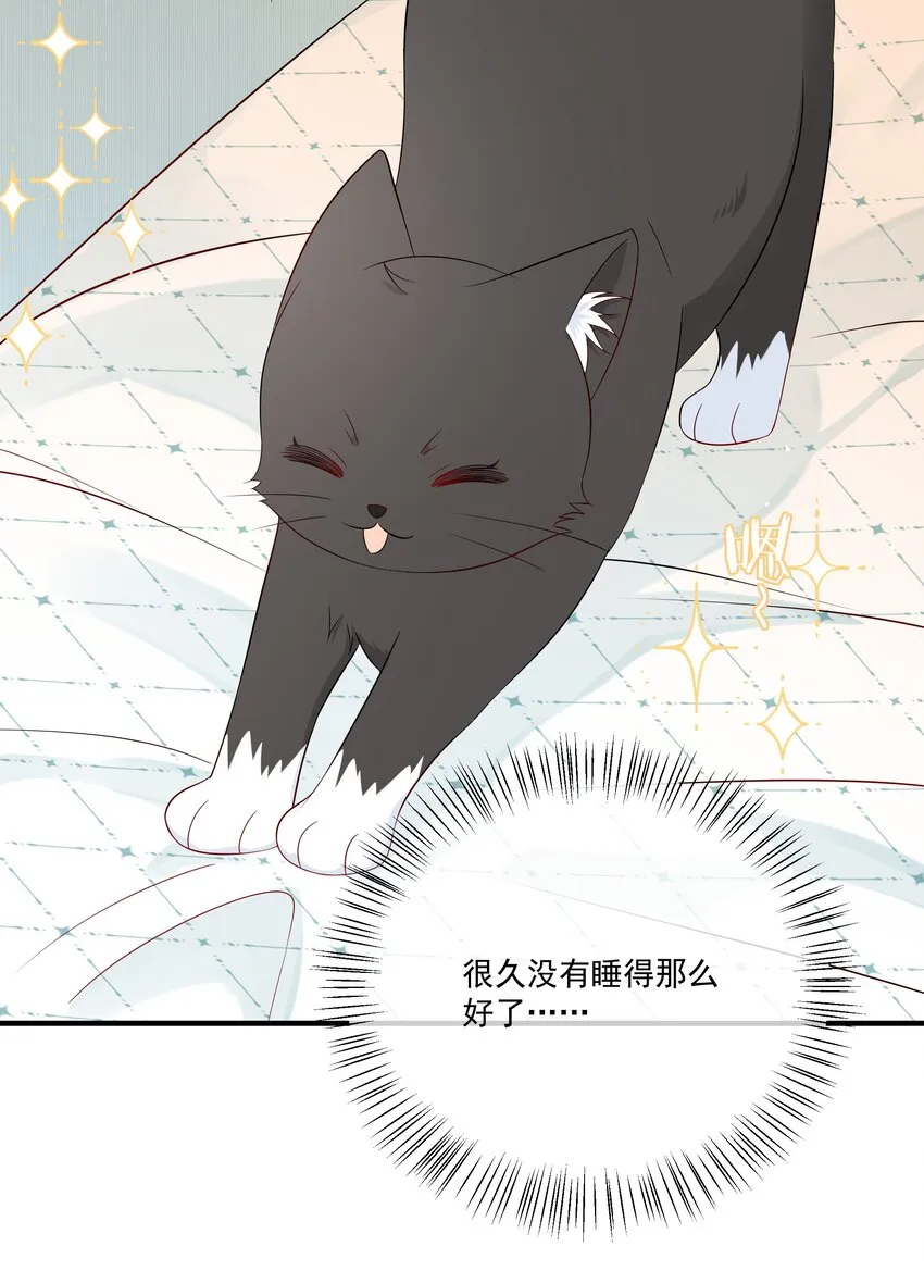 008 只有我露馅了 第20页