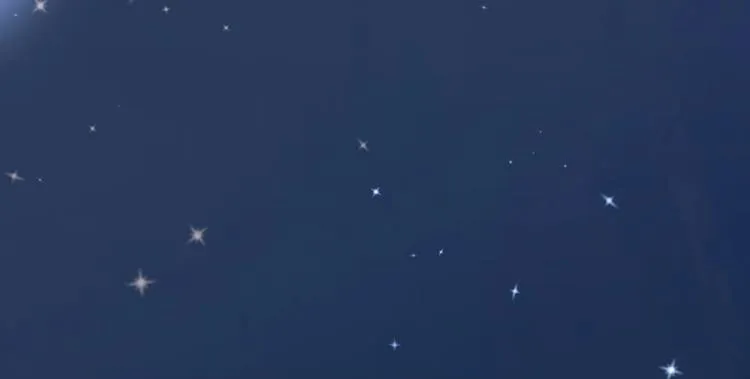第10话 抓猫猫~ 第122页