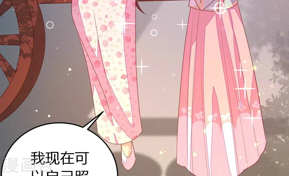 第252话 身孕 第70页