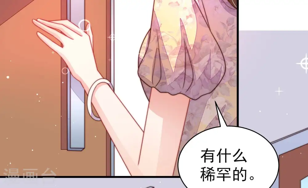第205话 宠妻 第70页
