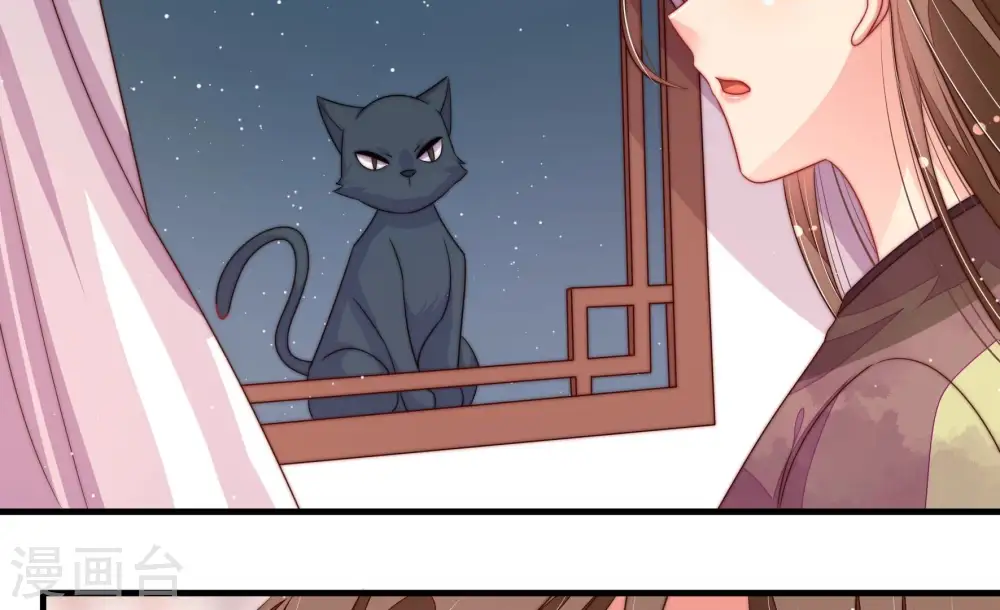 第200话 黑猫 第8页