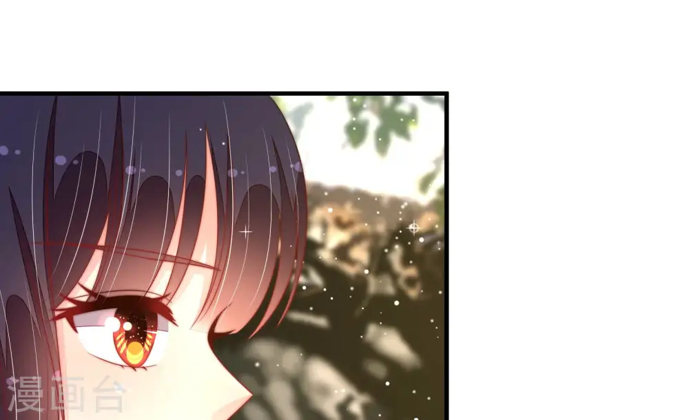 第185话 楚南风的心思 第66页
