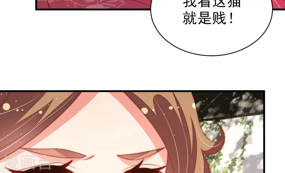 第176话 生日礼物 第15页