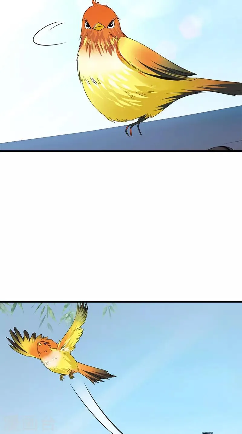 第107话 王妃醒了 第25页