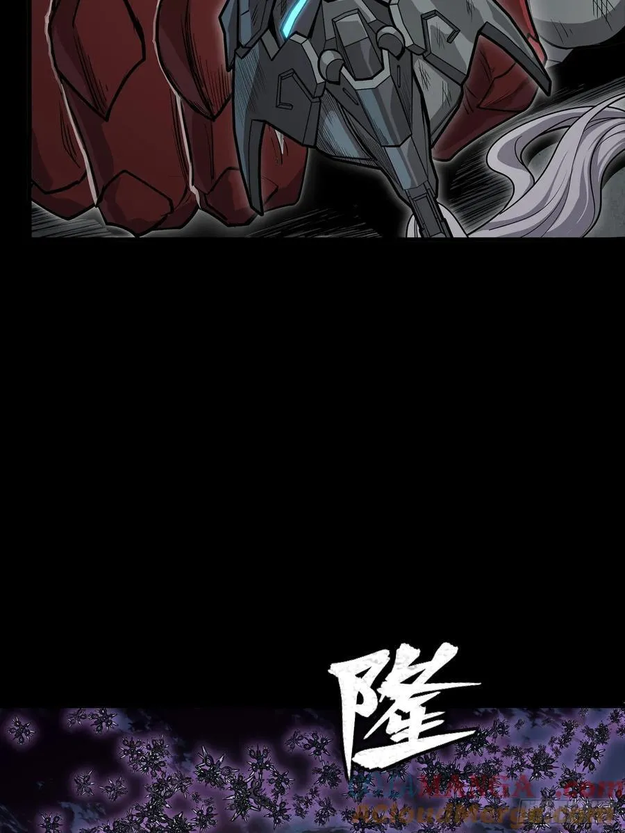 264 狮吼炮 第13页