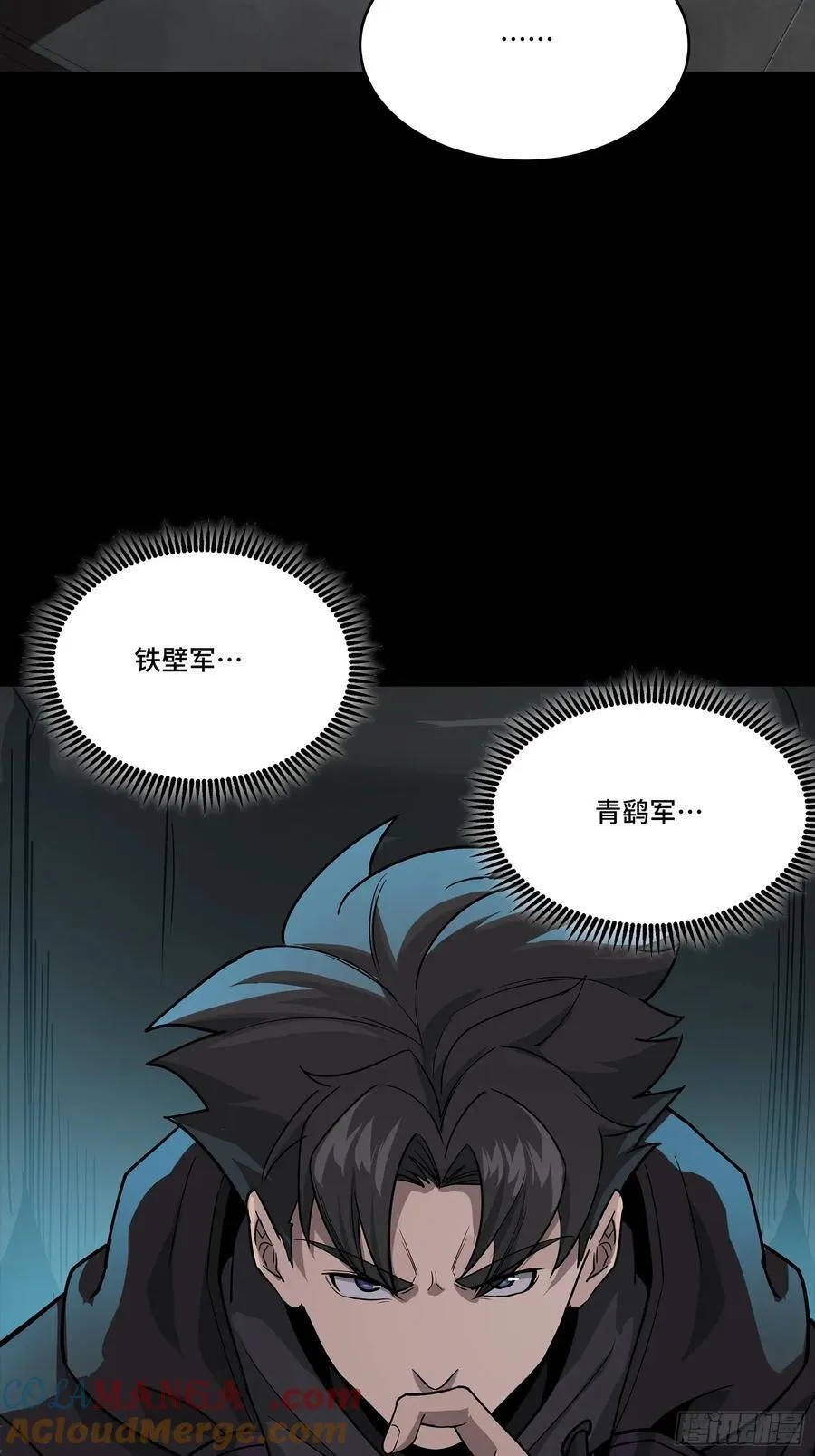 265 战前筹谋 第13页