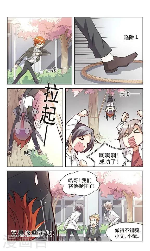 第9话 与猫相见 第3页