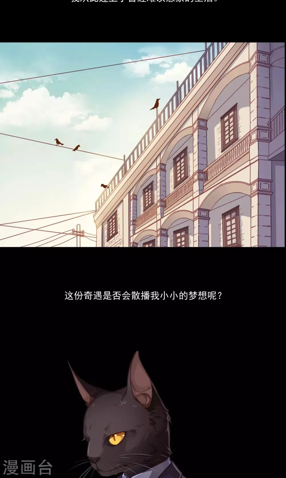 预告 第11页
