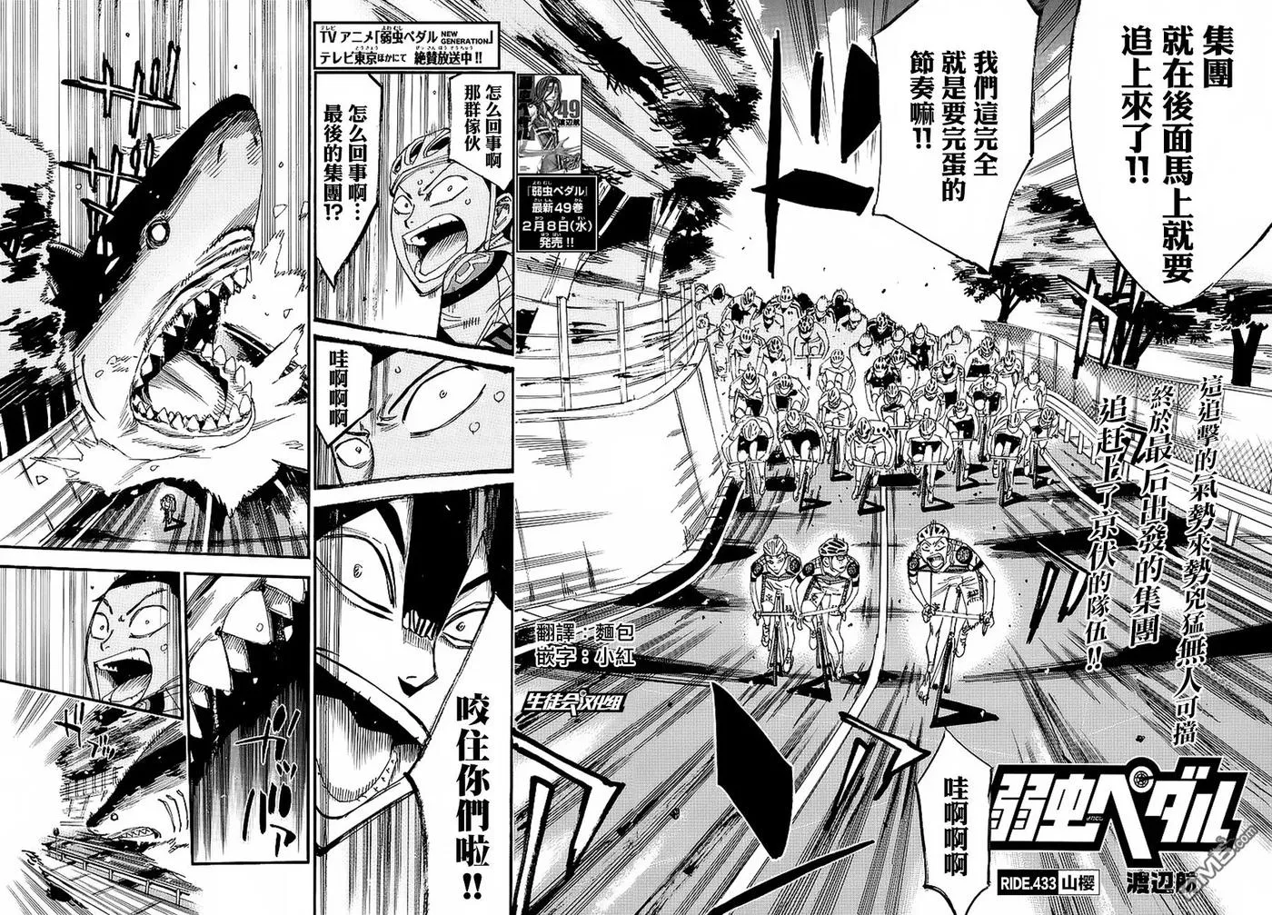 433 山樱 第2页