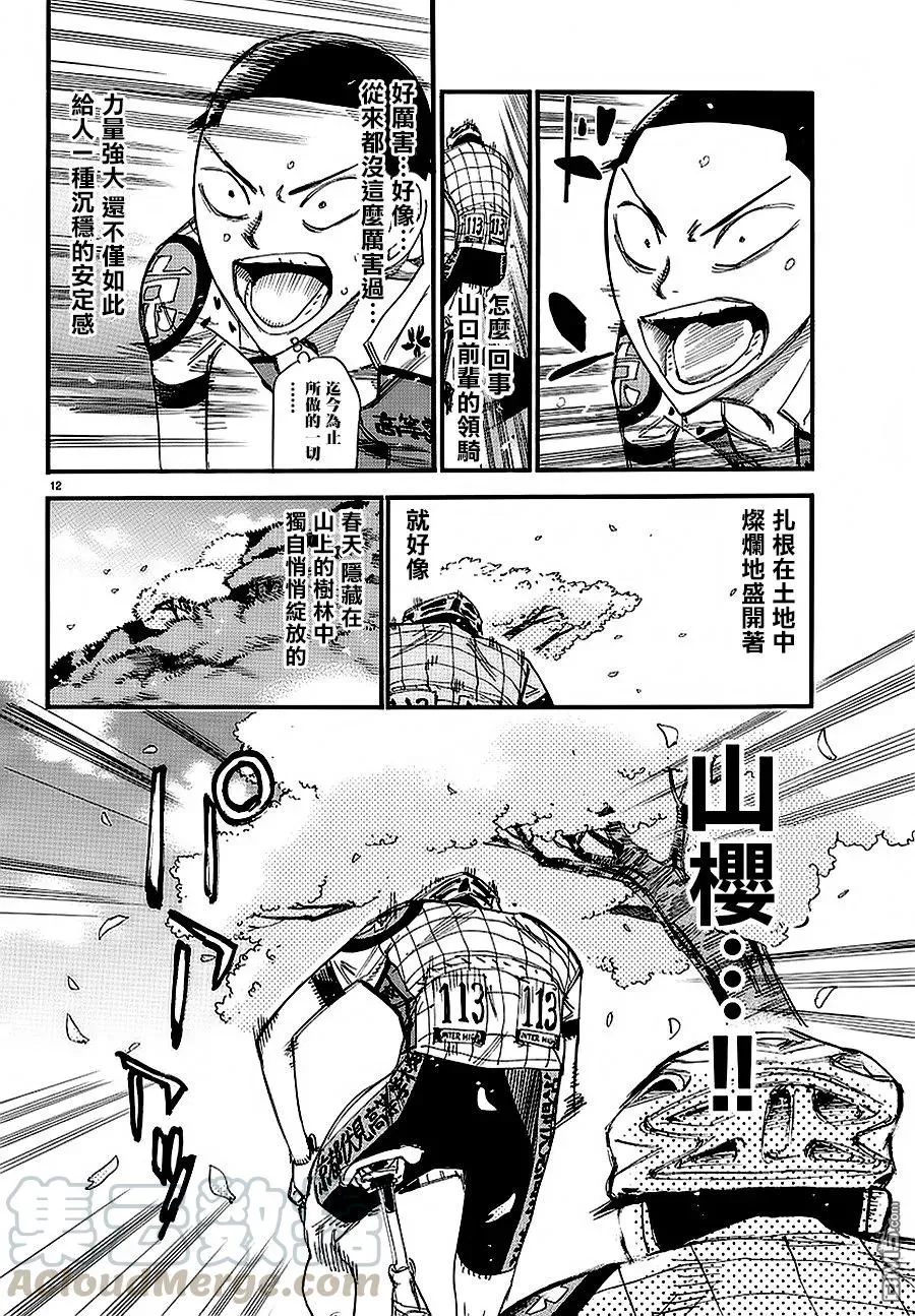 433 山樱 第9页