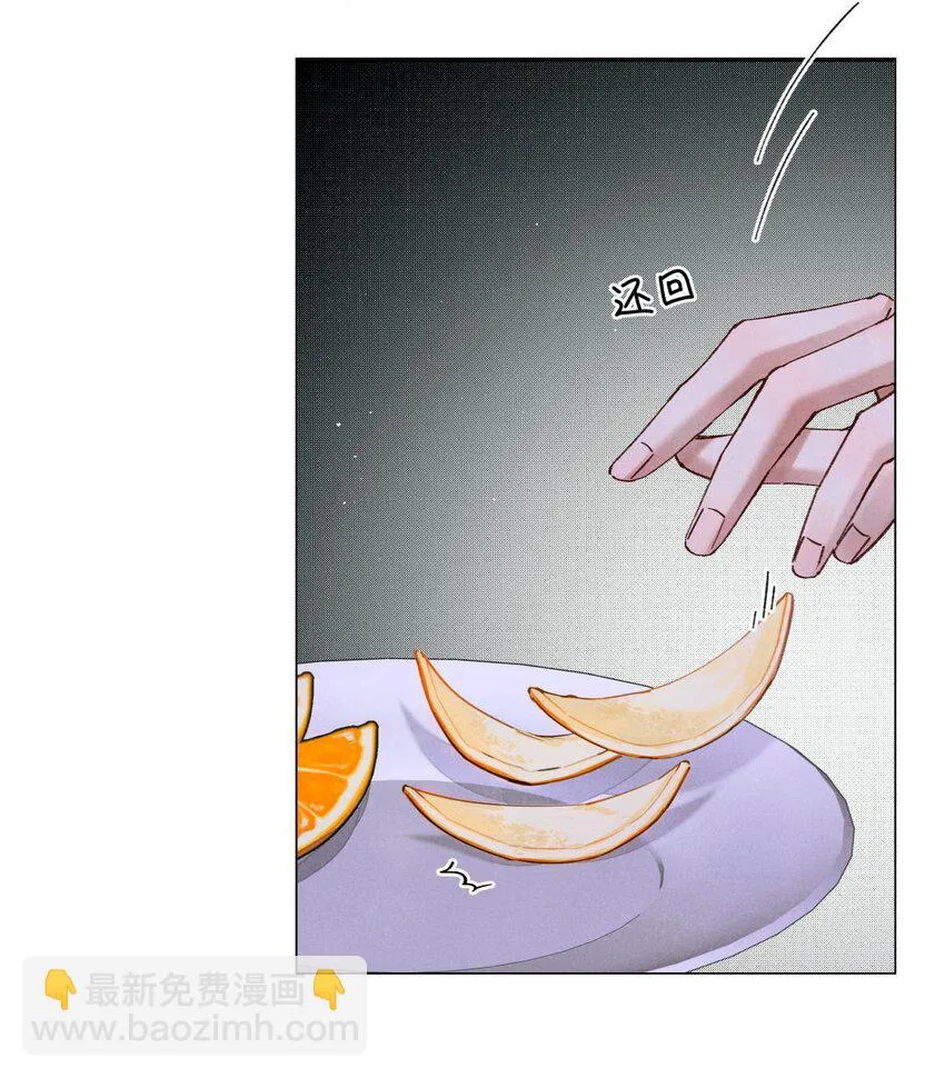 86 返程 第29页